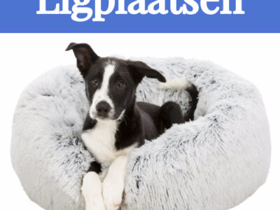 Ligplaatsen