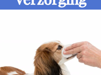 Verzorging